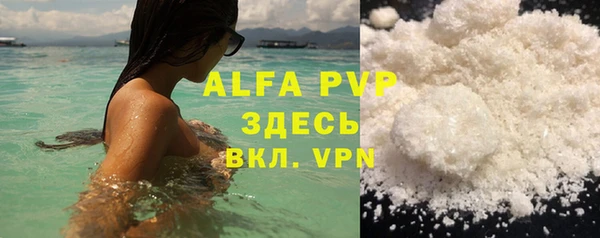 индика Белокуриха