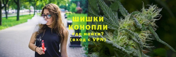 индика Белокуриха