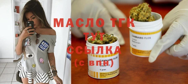 индика Белокуриха