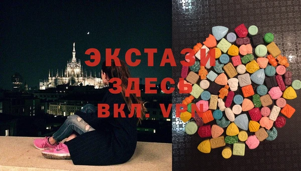 индика Белокуриха