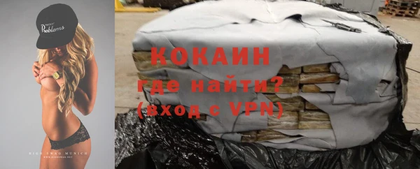 индика Белокуриха