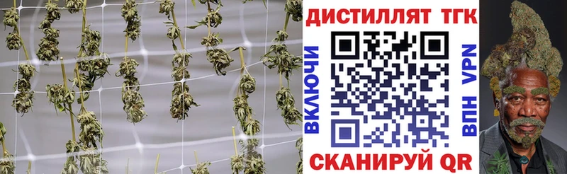 Дистиллят ТГК концентрат Верещагино