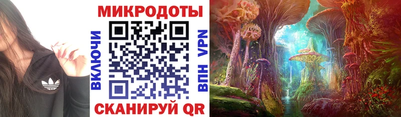 Псилоцибиновые грибы Psilocybe  ссылка на мегу как войти  Верещагино  где купить наркоту 