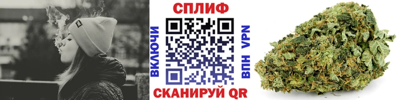Бошки Шишки тримм  Верещагино 